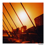 Harman Red ISO 125 120 film
