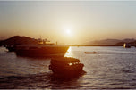 LC Color Sun-Kissed 400/36 Film 1-pack