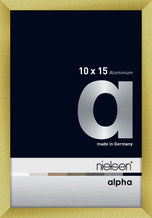 Nielsen Alpha 20x30 Brushed Gold